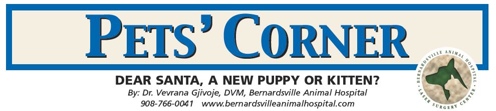 PETS’ CORNER: Dear Santa, A New Puppy or Kitten?
